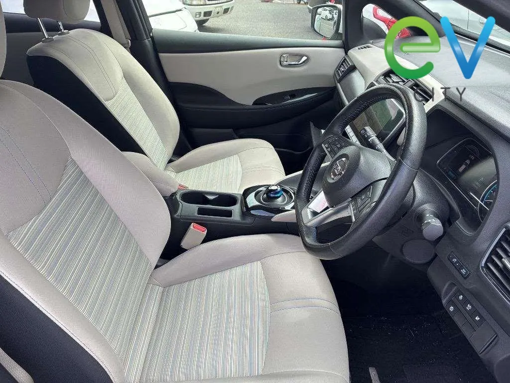 2020 Nissan Leaf e+ X (62kWh) — photo 6