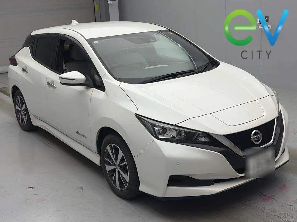 2020 Nissan Leaf e+ X (62kWh) — photo 5