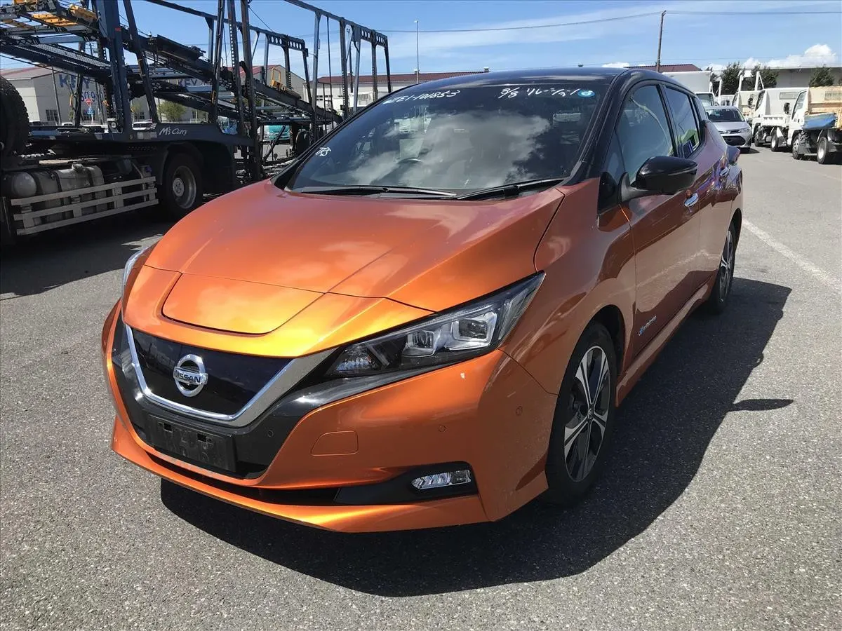 2021 Nissan Leaf G (40kWh) — photo 3