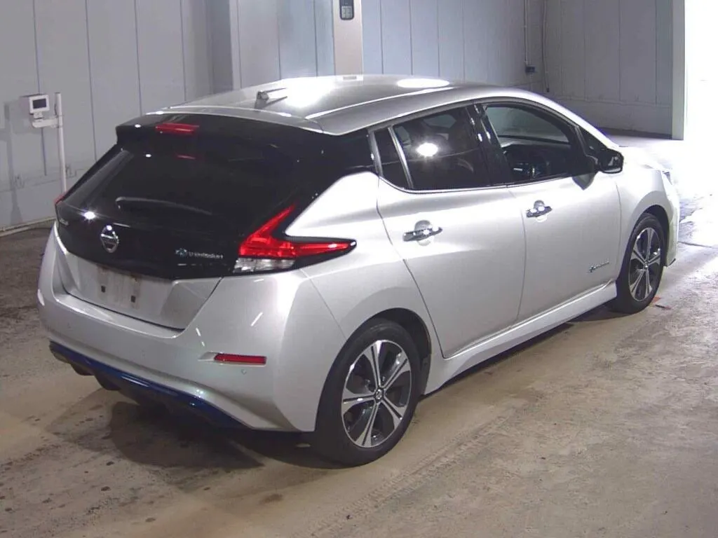 2019 Nissan Leaf e+ X (62kWh) — photo 5