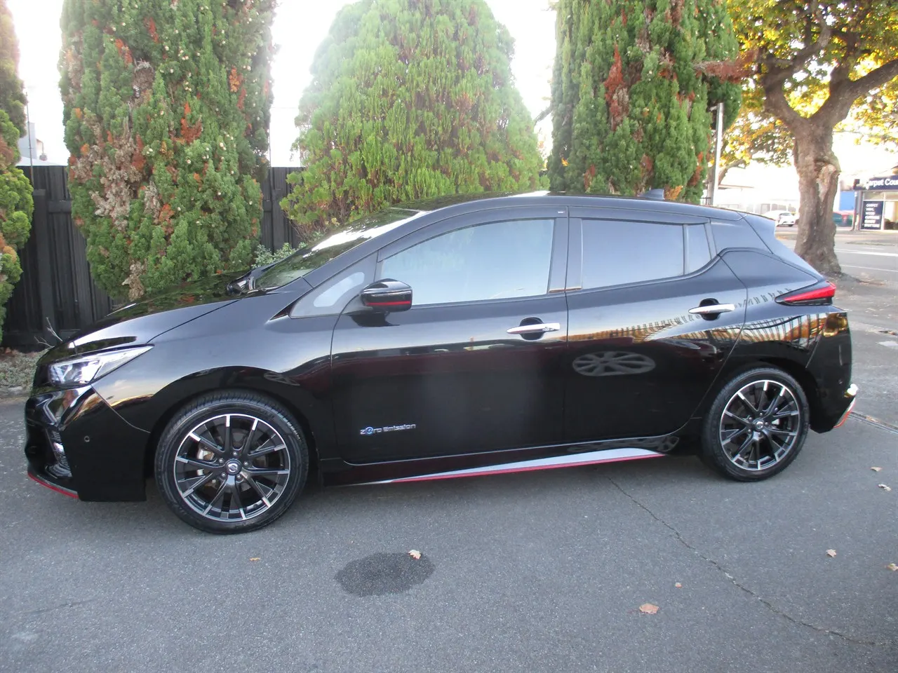 2021 Nissan Leaf 40G Nismo — photo 3