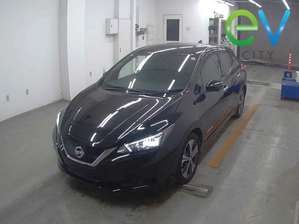 2021 Nissan Leaf X (40kWh) — photo 4