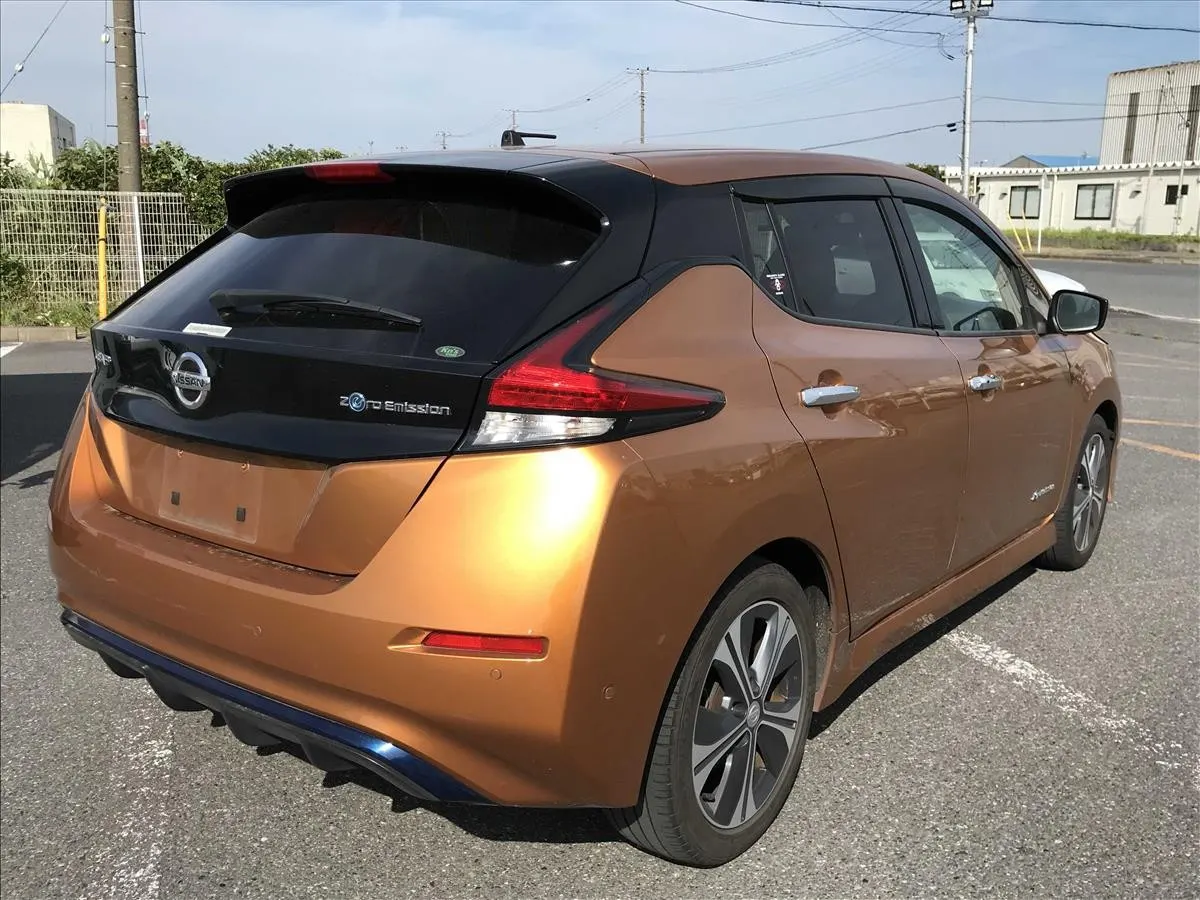 2018 Nissan Leaf G (40kWh) — photo 2