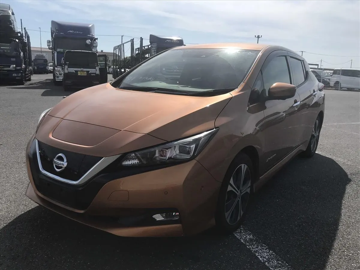 2018 Nissan Leaf G (40kWh) — photo 3