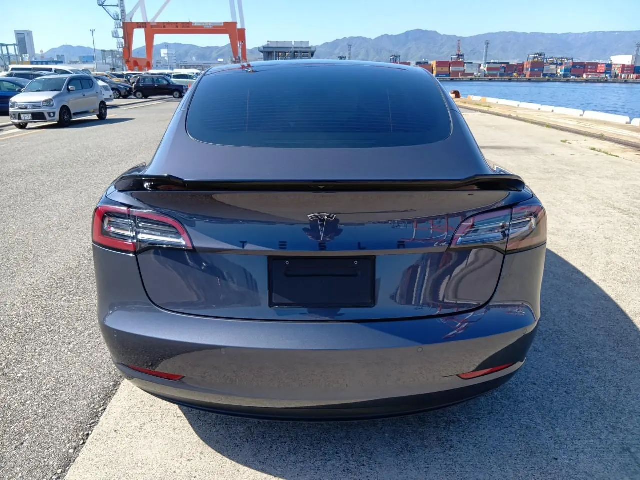 2021 Tesla Model 3 LFP Refresh RWD (62kWh) — photo 6
