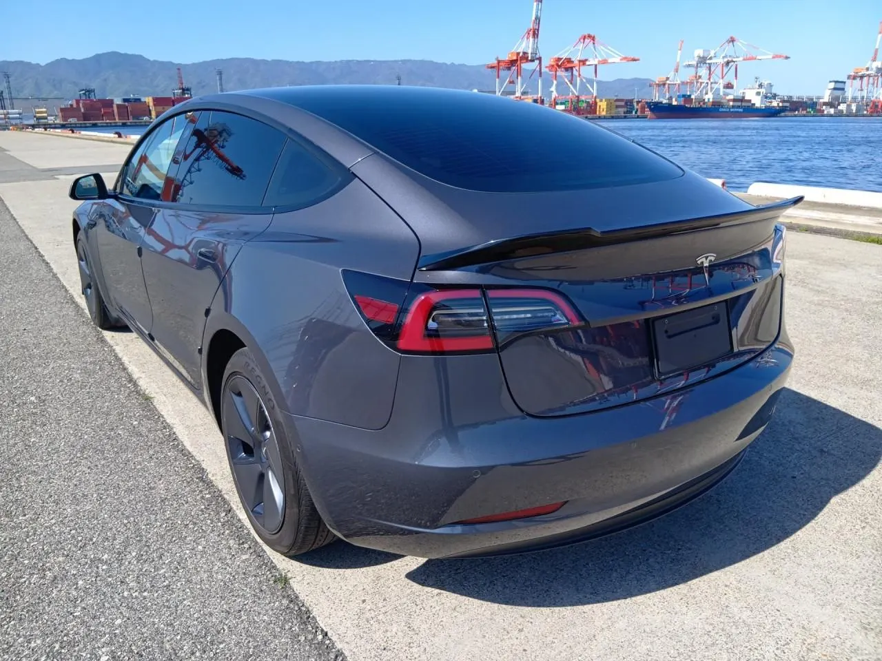 2021 Tesla Model 3 LFP Refresh RWD (62kWh) — photo 5