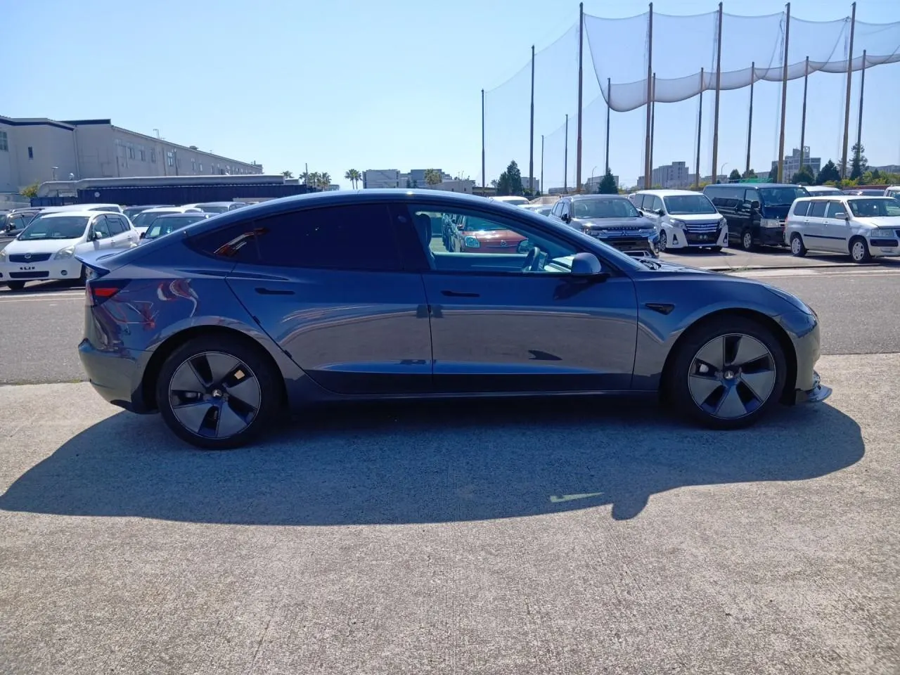 2021 Tesla Model 3 LFP Refresh RWD (62kWh) — photo 8