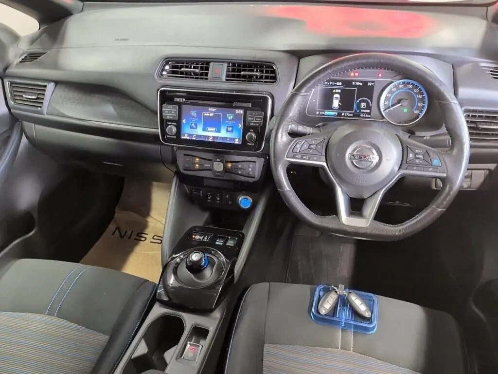 2019 Nissan Leaf e+ X (62kWh) — photo 7