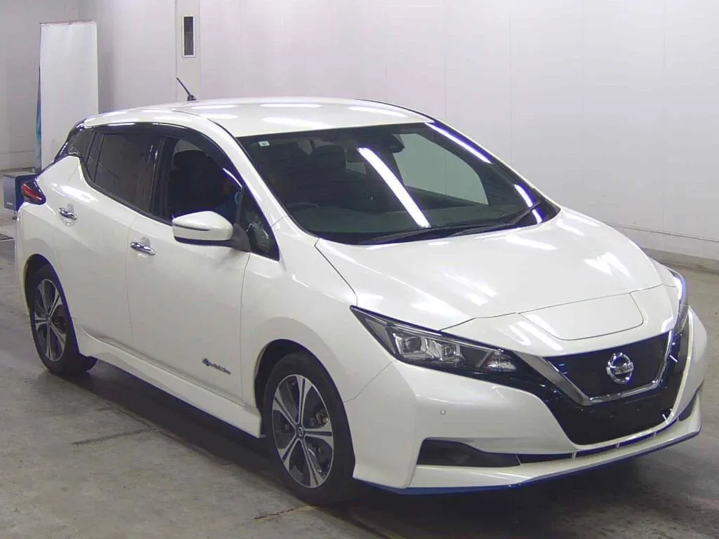 2019 Nissan Leaf e+ X (62kWh) — photo 2