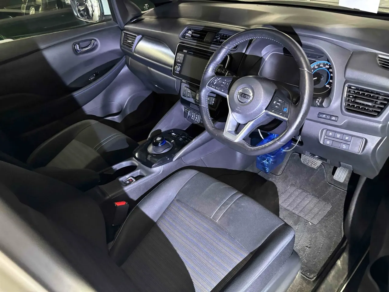 2019 Nissan Leaf e+ X (62kWh) — photo 6