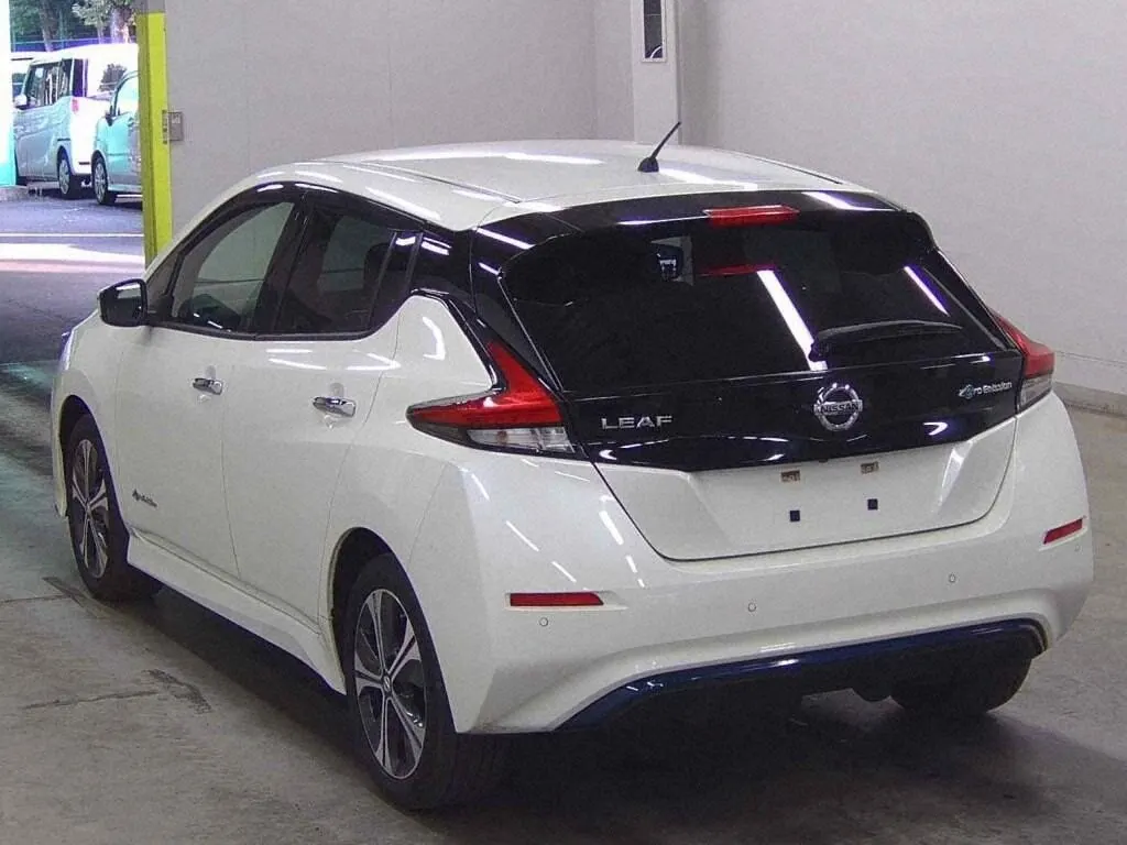 2019 Nissan Leaf e+ X (62kWh) — photo 4