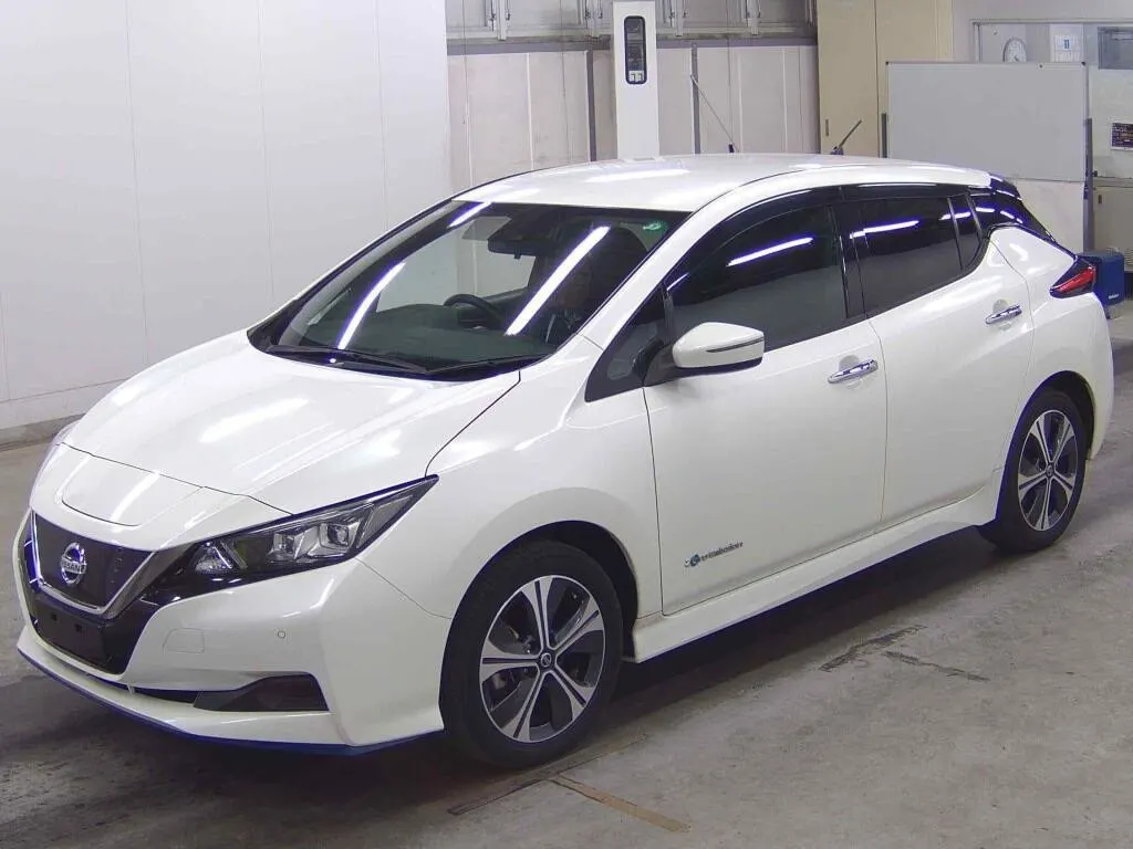 2019 Nissan Leaf e+ X (62kWh) — photo 3