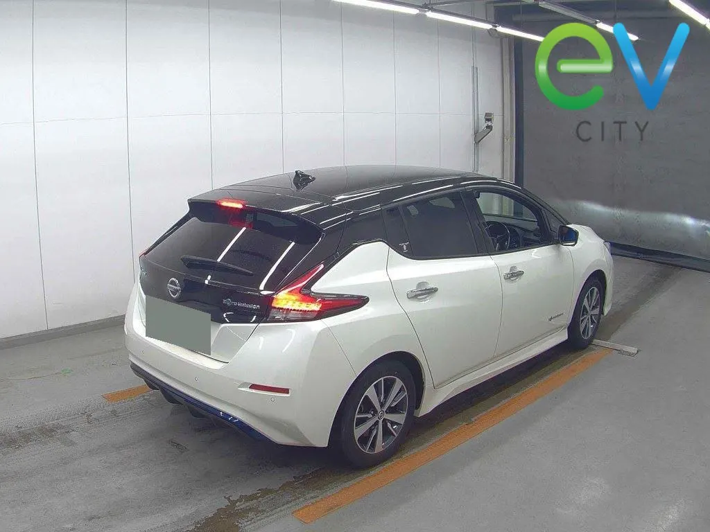 2020 Nissan Leaf X (40kWh) — photo 2