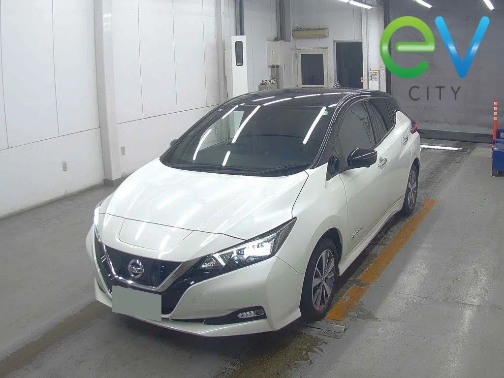2020 Nissan Leaf X (40kWh) — photo 4