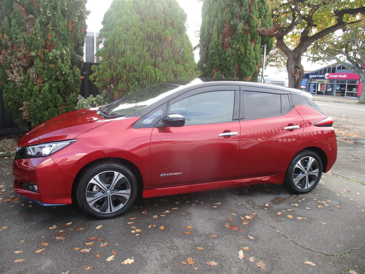 2019 Nissan Leaf e+ X (62kWh) — photo 3