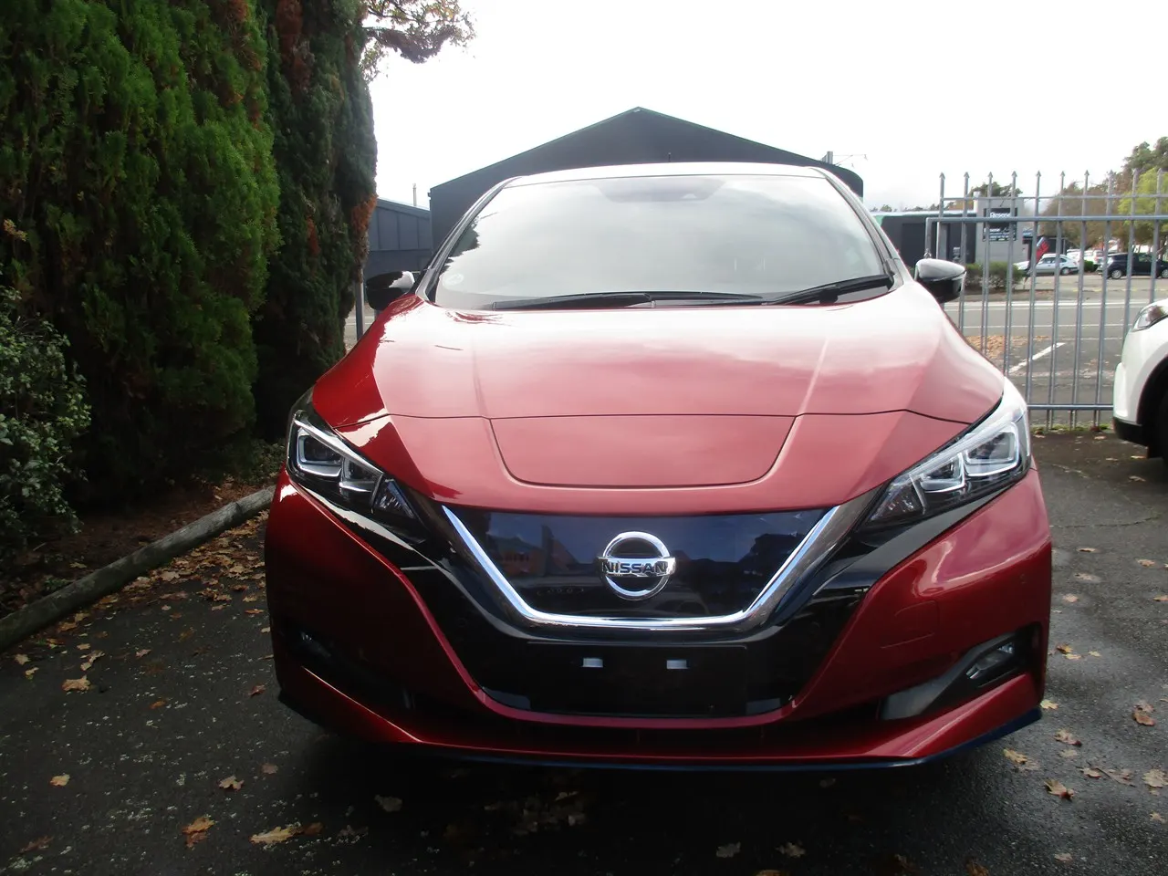 2019 Nissan Leaf e+ X (62kWh) — photo 2