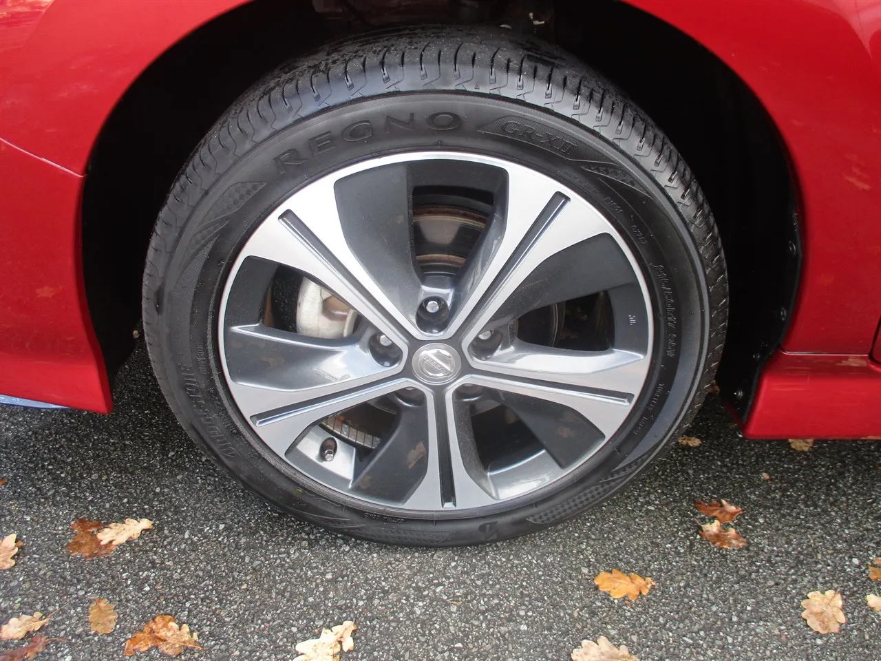 2019 Nissan Leaf e+ X (62kWh) — photo 4