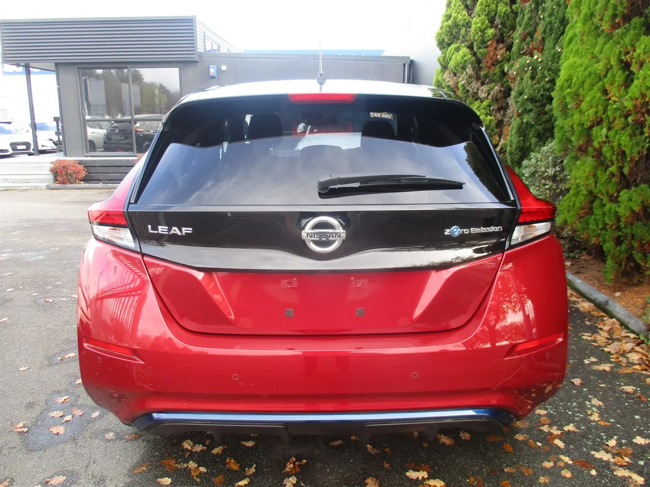 2019 Nissan Leaf e+ X (62kWh) — photo 6