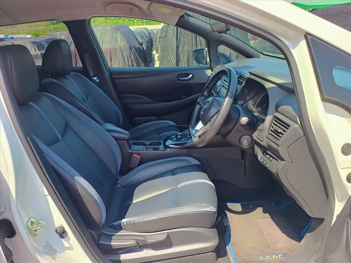 2019 Nissan Leaf e+ G (62kWh) — photo 6