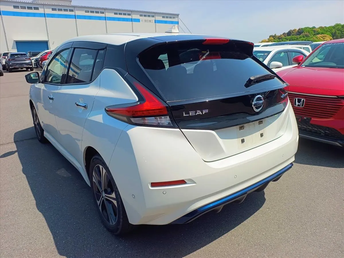 2019 Nissan Leaf e+ G (62kWh) — photo 4