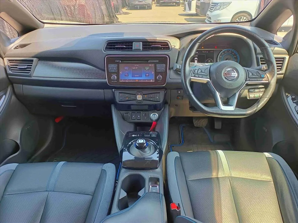 2019 Nissan Leaf e+ G (62kWh) — photo 8