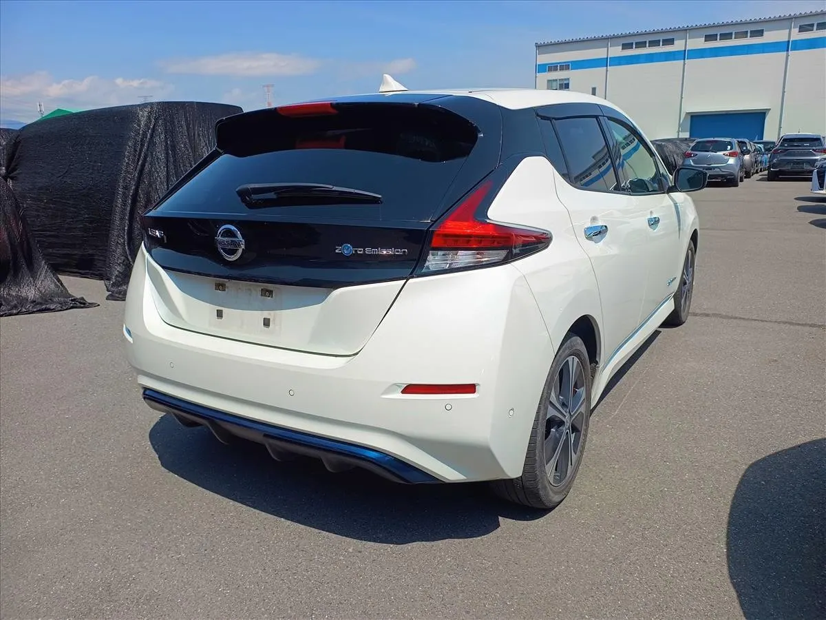 2019 Nissan Leaf e+ G (62kWh) — photo 2