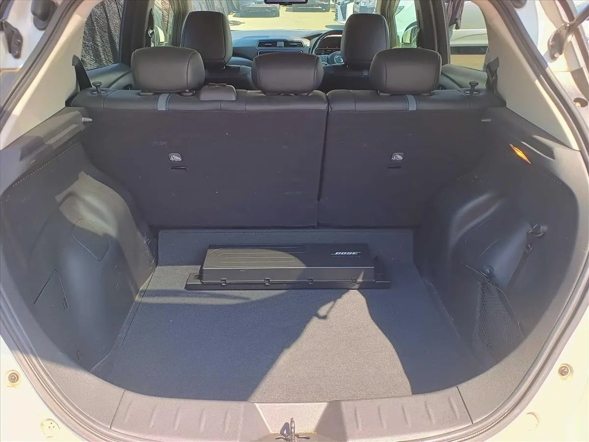 2019 Nissan Leaf e+ G (62kWh) — photo 10