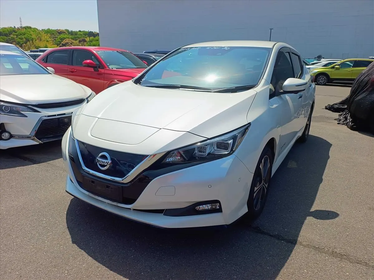 2019 Nissan Leaf e+ G (62kWh) — photo 3