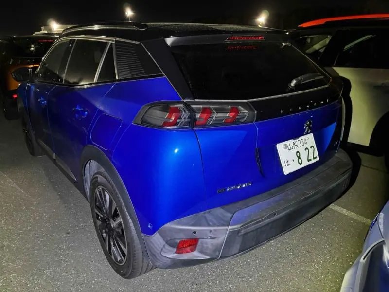 2021 Peugeot e-2008 GT (50kWh) — photo 11