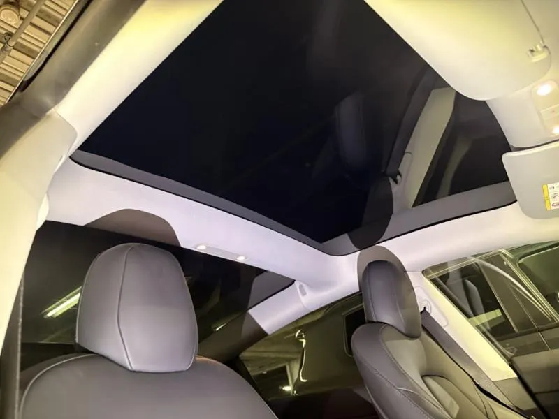 2021 Tesla Model 3 Long Range AWD (82kWh), photo 8