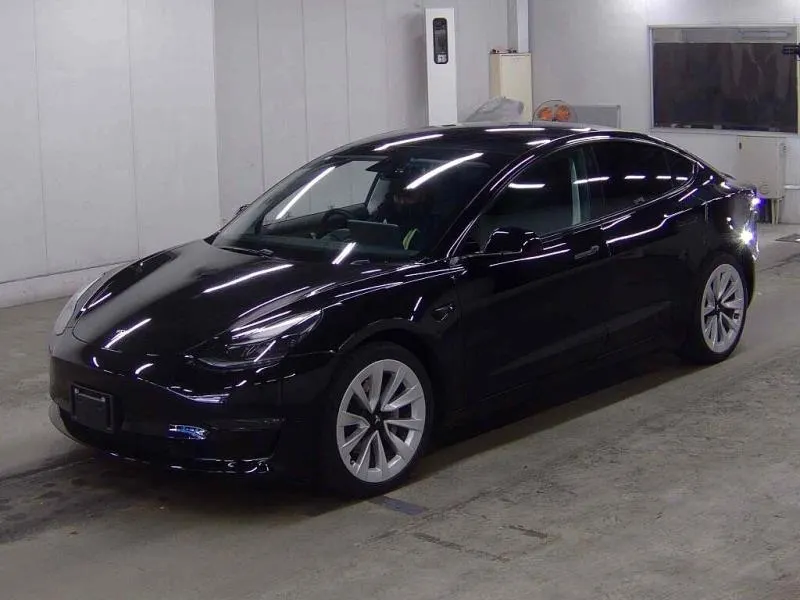2021 Tesla Model 3 Long Range AWD (82kWh), photo 2