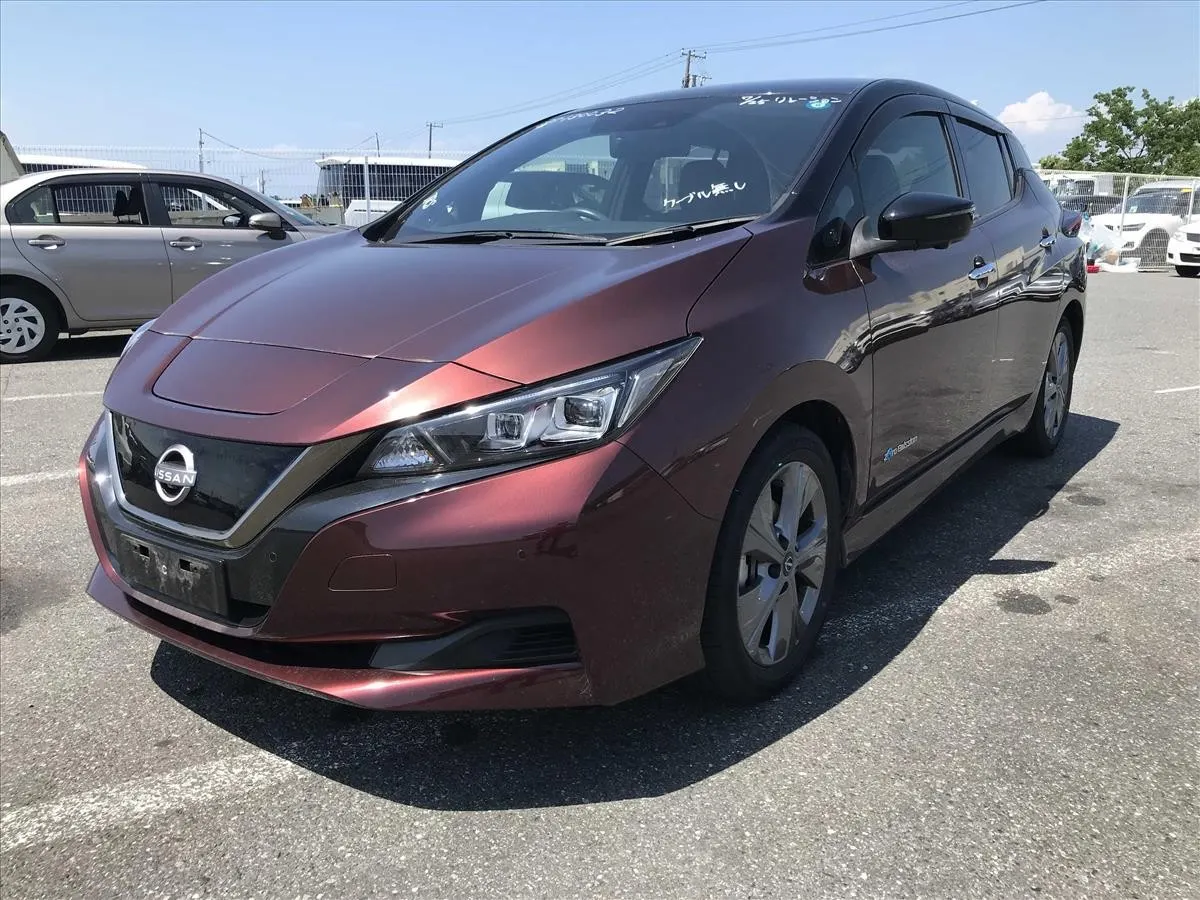 2022 Nissan Leaf Urbane Chrome (40kWh) — photo 3