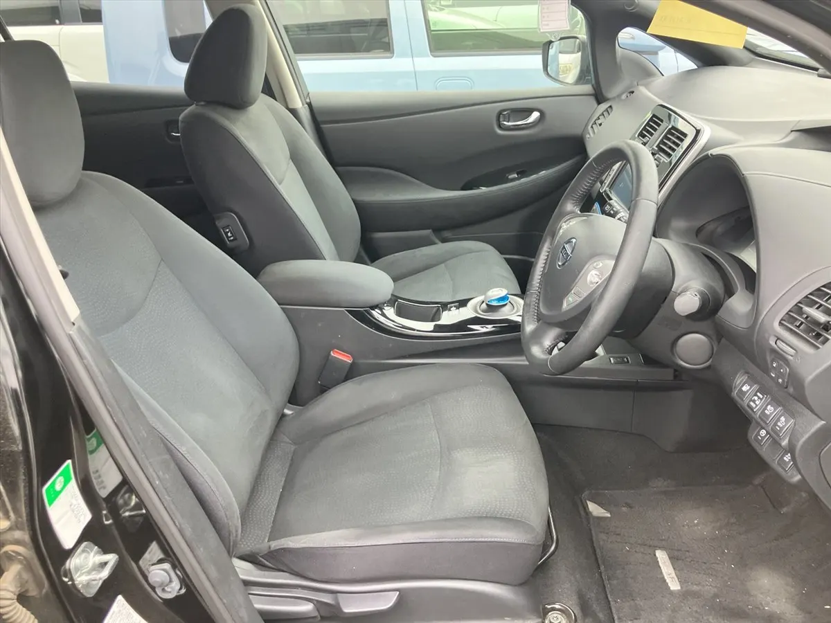 2017 Nissan Leaf 30X Thanks Edition (30kWh) — photo 6