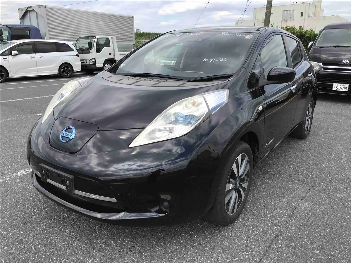 2017 Nissan Leaf 30X Thanks Edition (30kWh) — photo 3