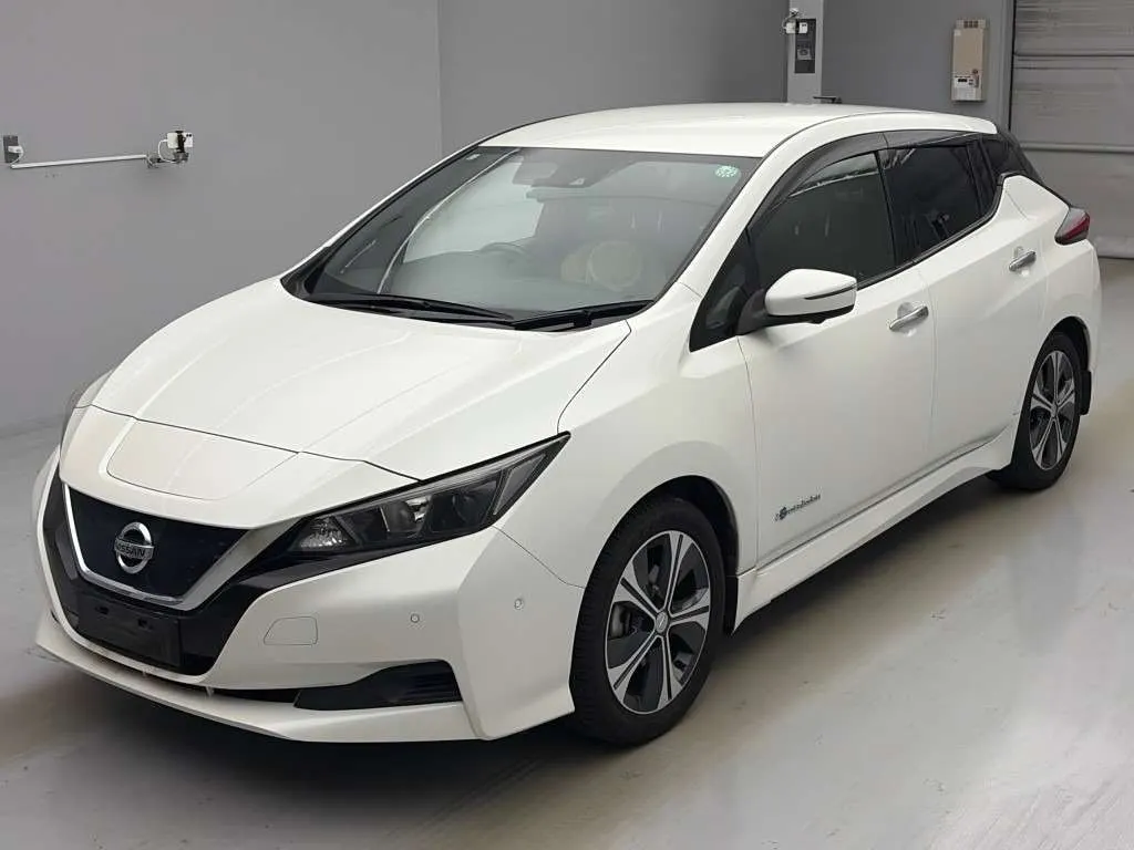 2017 Nissan Leaf 40X 85.1% SOH (40kWh), photo 3